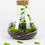 Thumbnail: HARMONY GARDEN Terrarium Plant