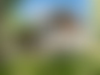 Свій або типовий?