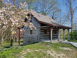 Cabin.jpg
