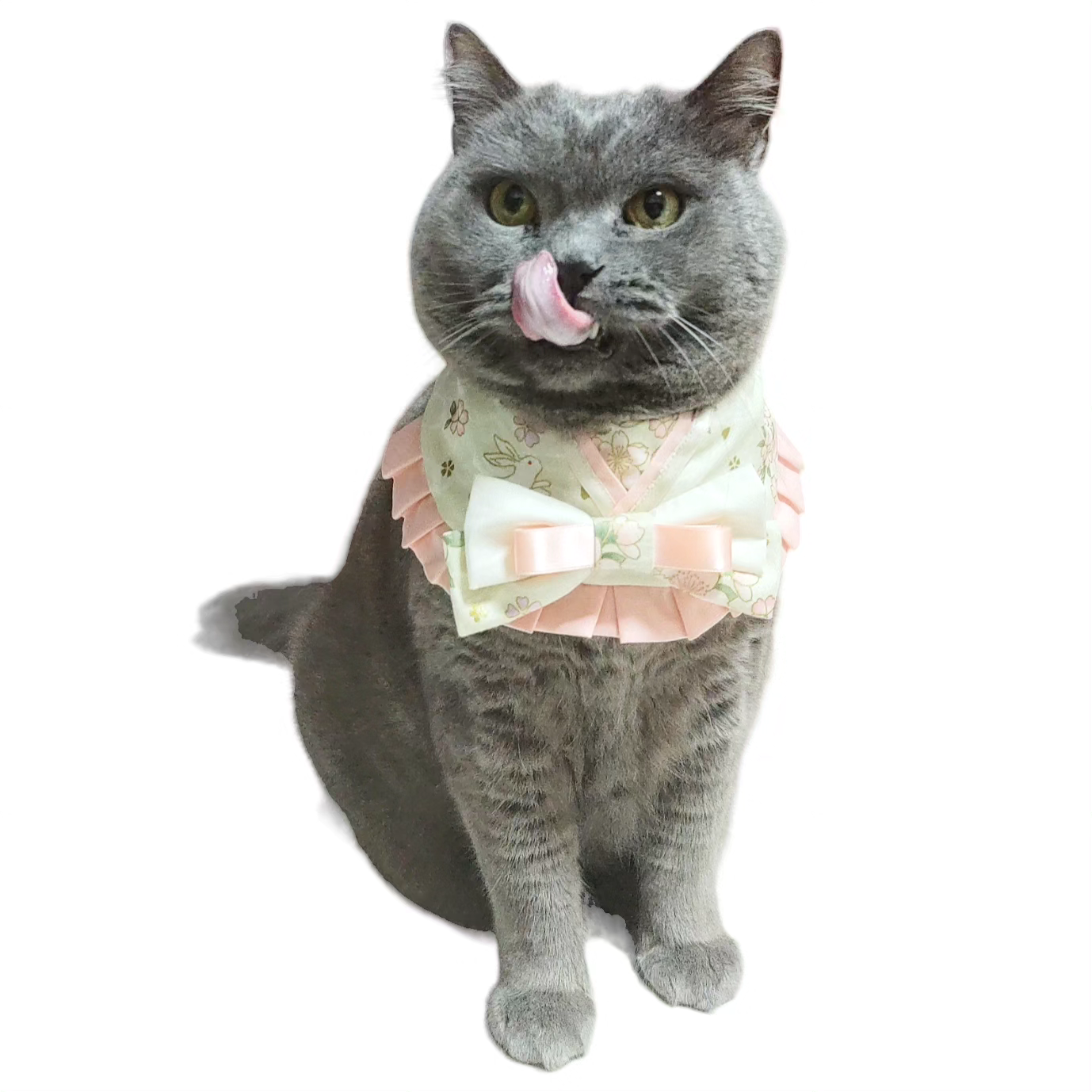 Sakura Rabbit Collar