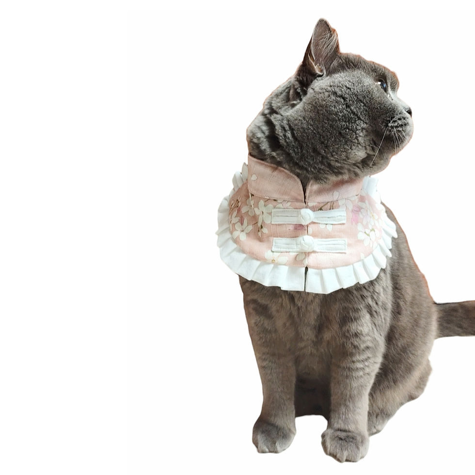 Thumbnail: Mandarin Collar - Sakura