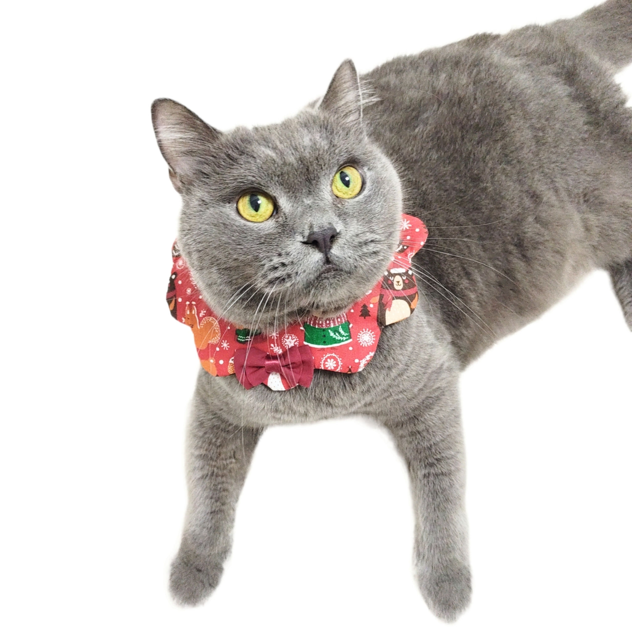 Scallop 🤡 Collar - Christmas Print with Bow