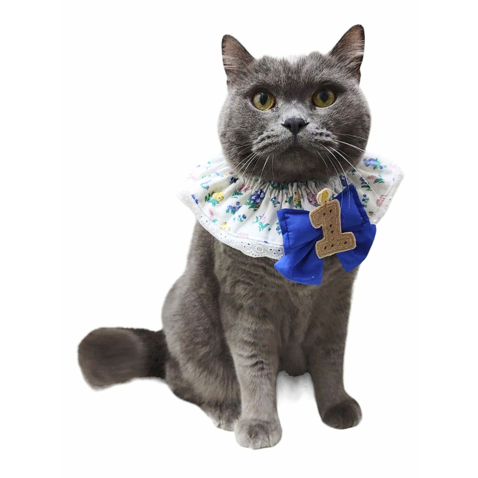 Thumbnail: Bertha Collar - Flower Show Sunrise Lace