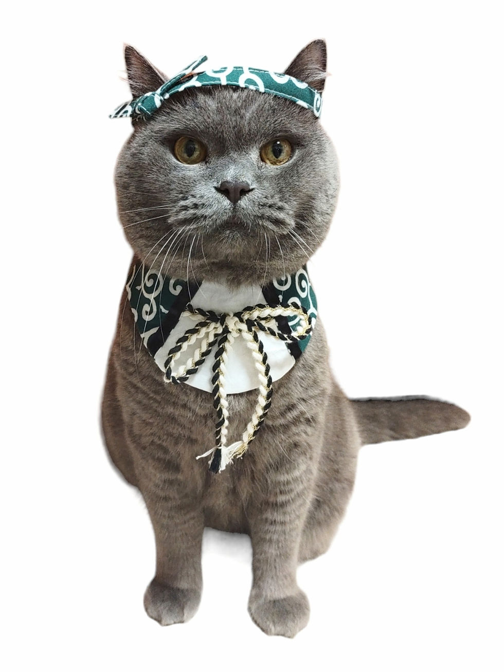 Thumbnail: Karakusa Ribbon Collar