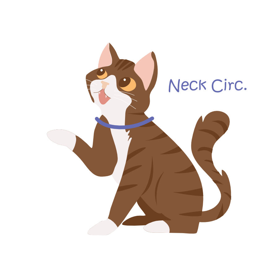 Thumbnail: Open Bottom w/ Ruffle Neck Tied