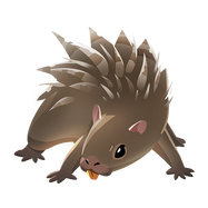AnimalSumatranPorcupine.png