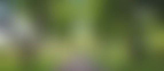 Ricarica le Energie: Scopri i Benefici di una Passeggiata Estiva!