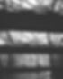 FAM.jpeg