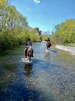 Escursioni a Cavallo