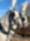 horses.jpg