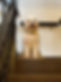 2024-02-14_09-29-00_520.dng