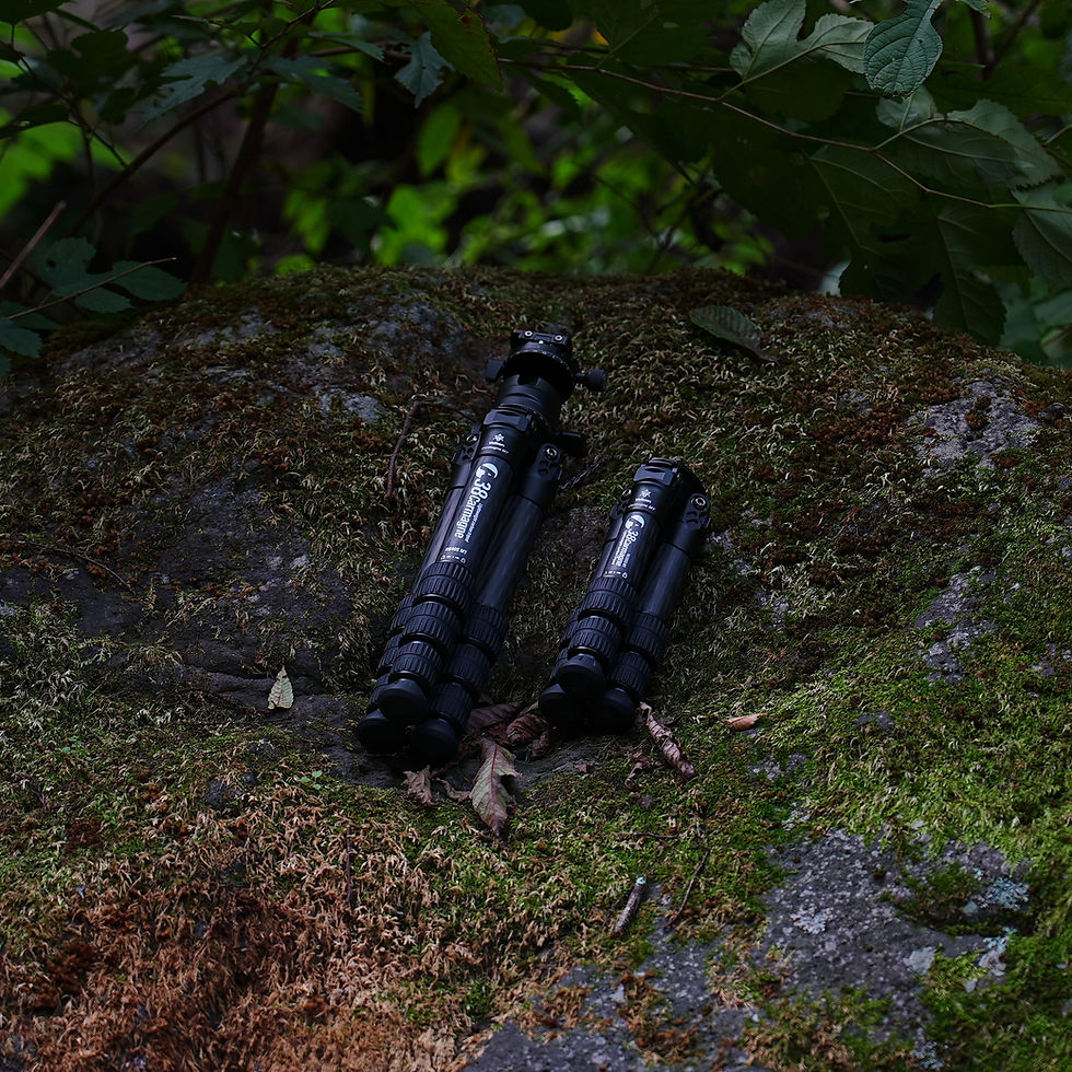 A38】A38Carmagne (小) （ハクバ写真産業株式会社 ASIMOCRAFTS 