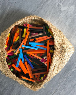 Rakau in basket.JPG