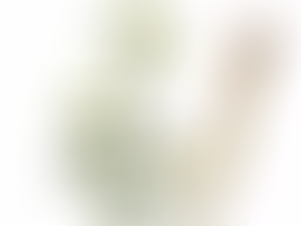 How Does Chinese Herbal Medicine Work?