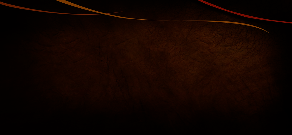 Portada Saner Shop 7.png