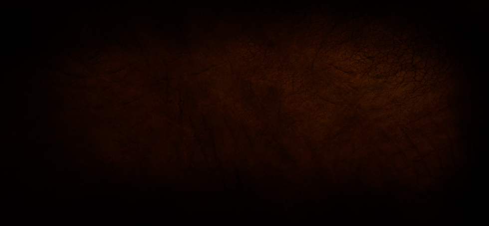 Portada Saner Shop 8.png