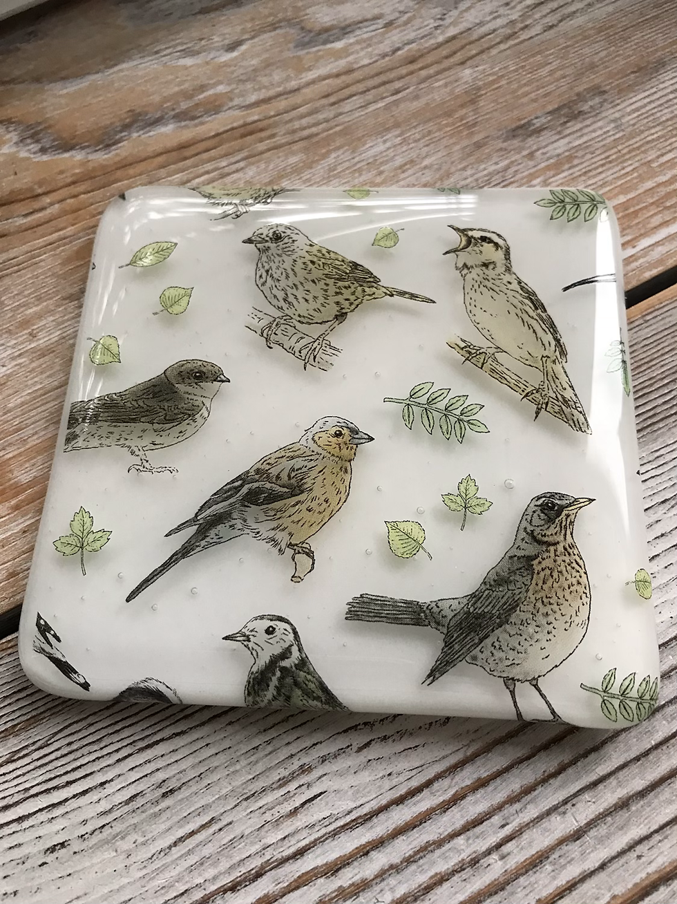 Thumbnail: British bird coaster
