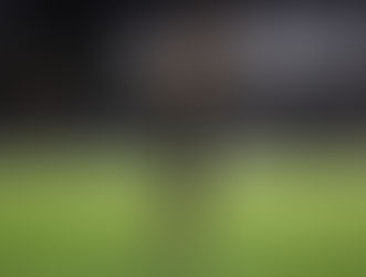 LAFC Defeats Toronto 2-0