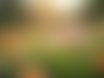 Healing and Growth: A Journey for Women