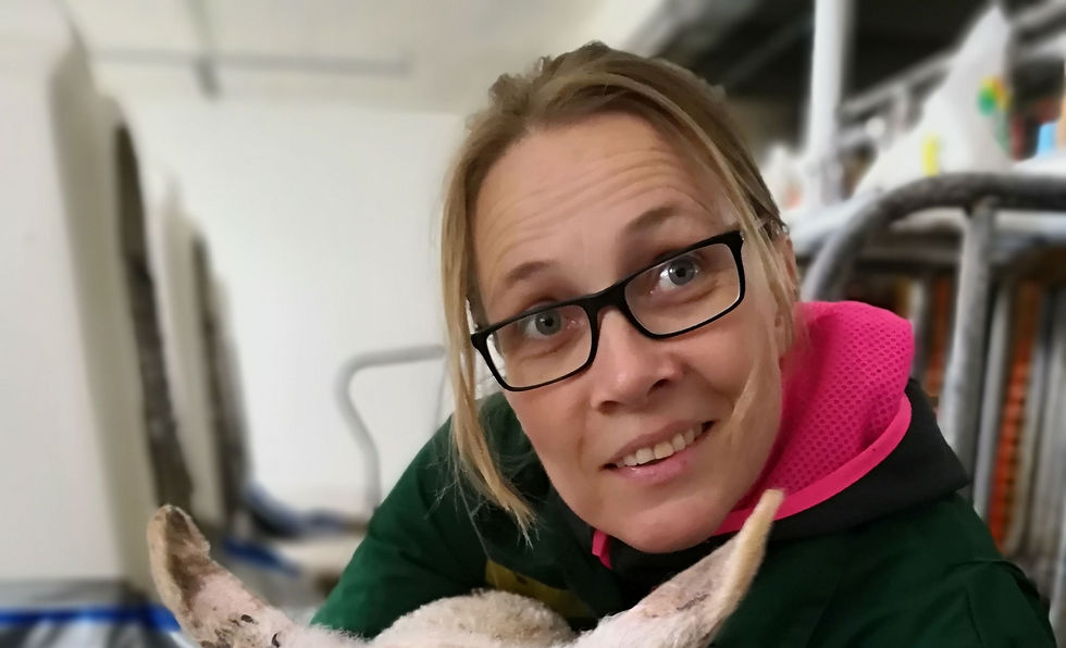 Ny doktorgrad forener sirkulærøkonomi og dyrehelse
