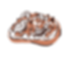Capa_1 (1).png