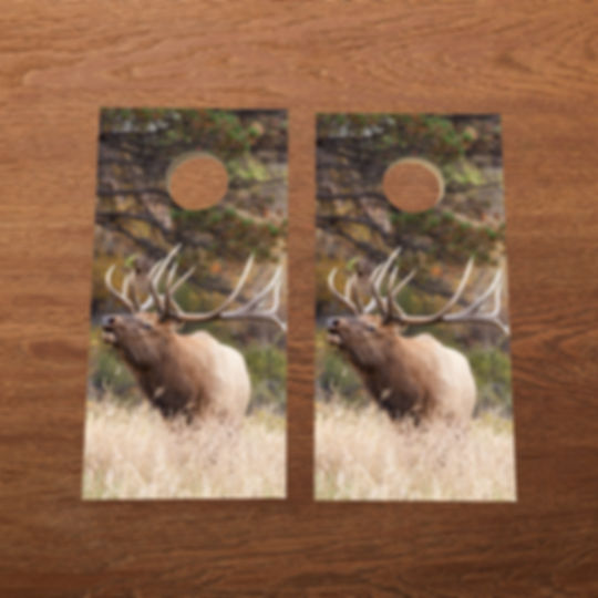 Mini Fall Elk Set