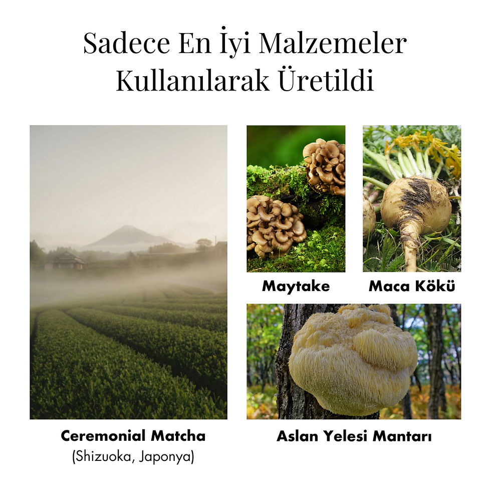 Küçük resim: Fonksiyonel Mantar Takviyeli Ceremonial Grade Matcha