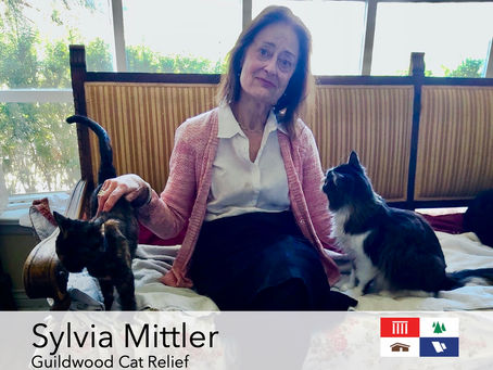 Sylvia Mittler—a Guildwood Village Community Hero