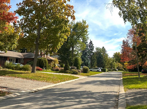 Guildwood Neighbourhood Character Guidelines Officially Adopted!