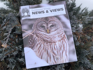 News & Views Winter 2021