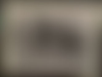 Guildwood Village. Opening Day