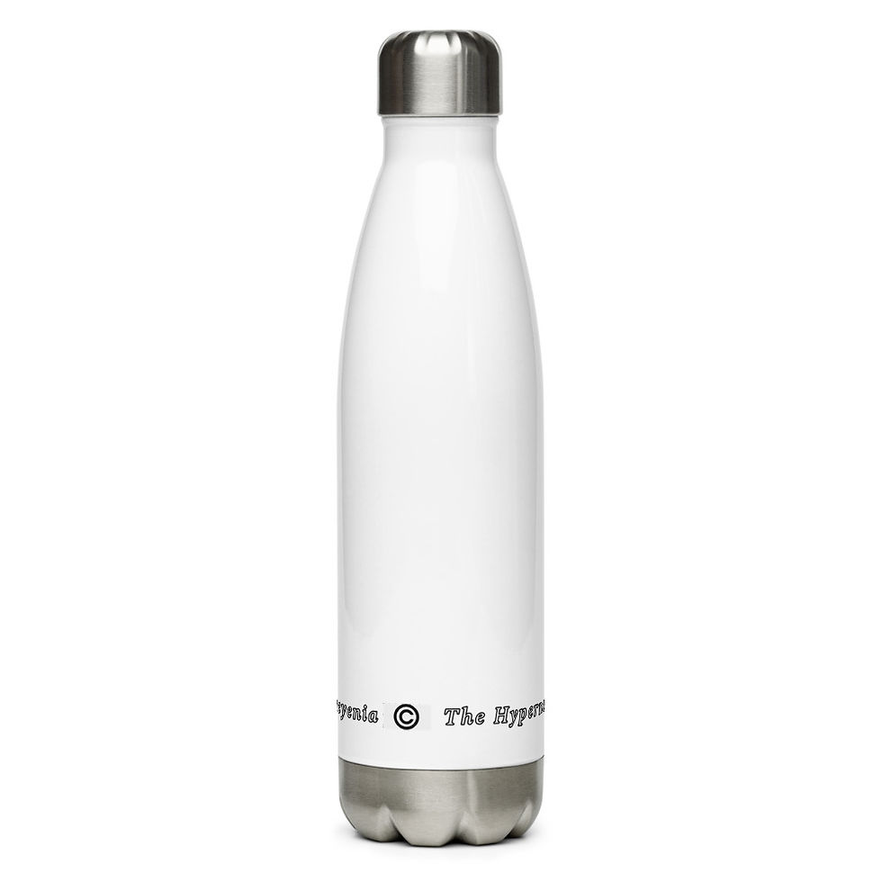 Thumbnail: Stainless Steel Altair Water Bottle