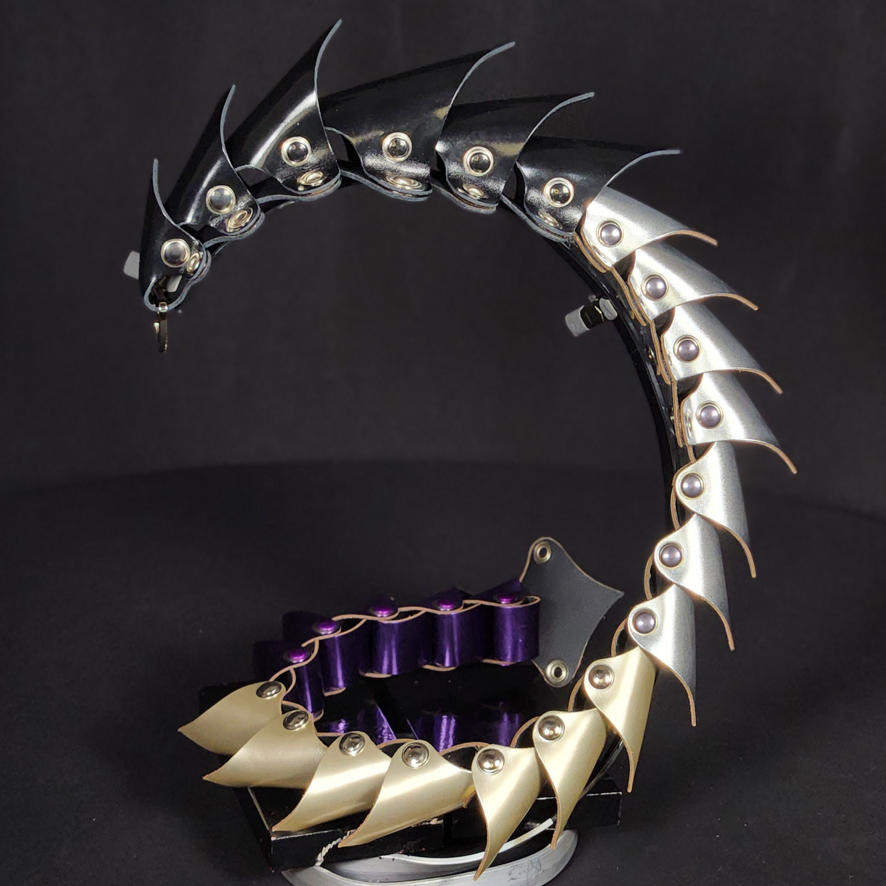 Dragon Spine (Asexual)