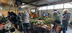 troc plantes jemeb