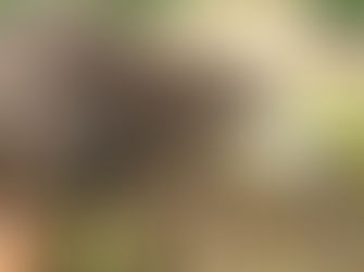 Výlet do Záchranné stanice v Jaroměři