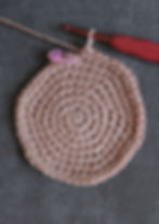 A crochet flat circle with a crochet hook.