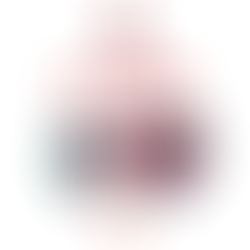 Sedan vs Le Mans : Le Labo