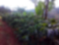 IMG-20230221-WA0005.jpg