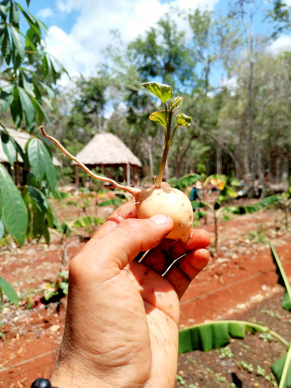 IMG_20240419_115659_edit_2303430265526