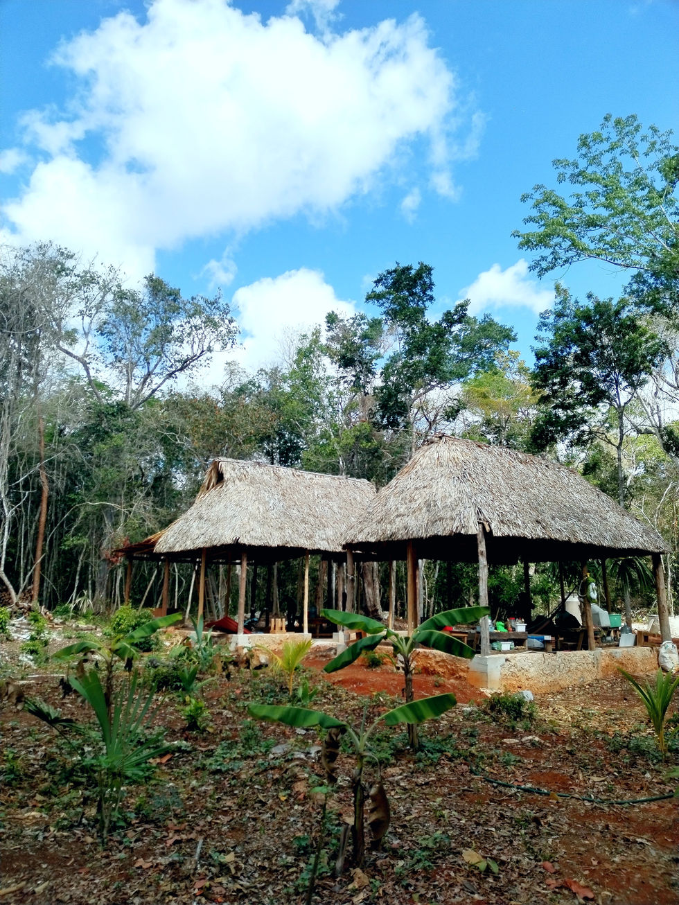 IMG_20240419_095439_edit_27131053334492