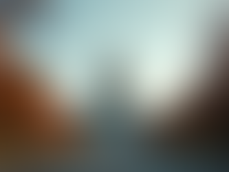 Understanding the Legacy of Illinois Corruption Challenges