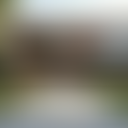 Why Choose Dwello for Your Custom Home Project?