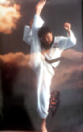 patada de taekwondo, artes marciales en madrid