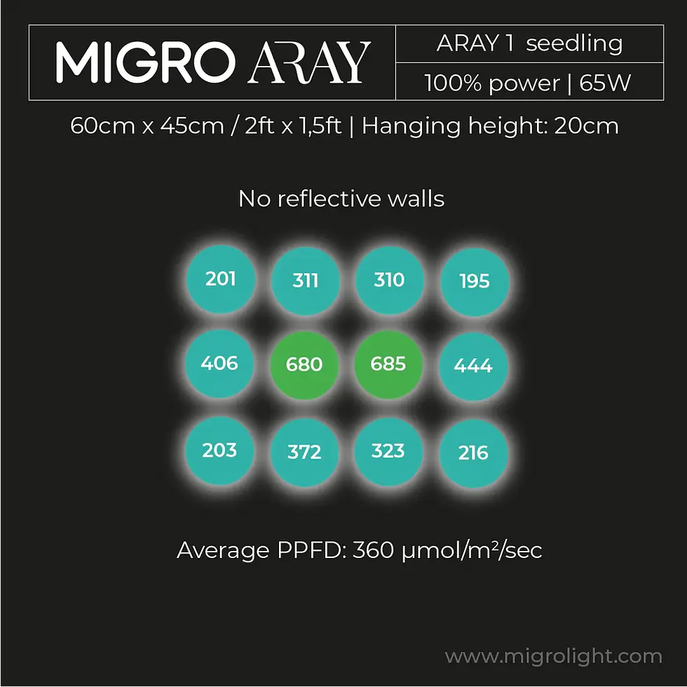 Thumbnail: MIGRO ARAY 1 Seedling Grow Light