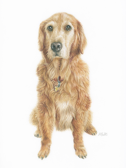 Pet Portrait - Dog