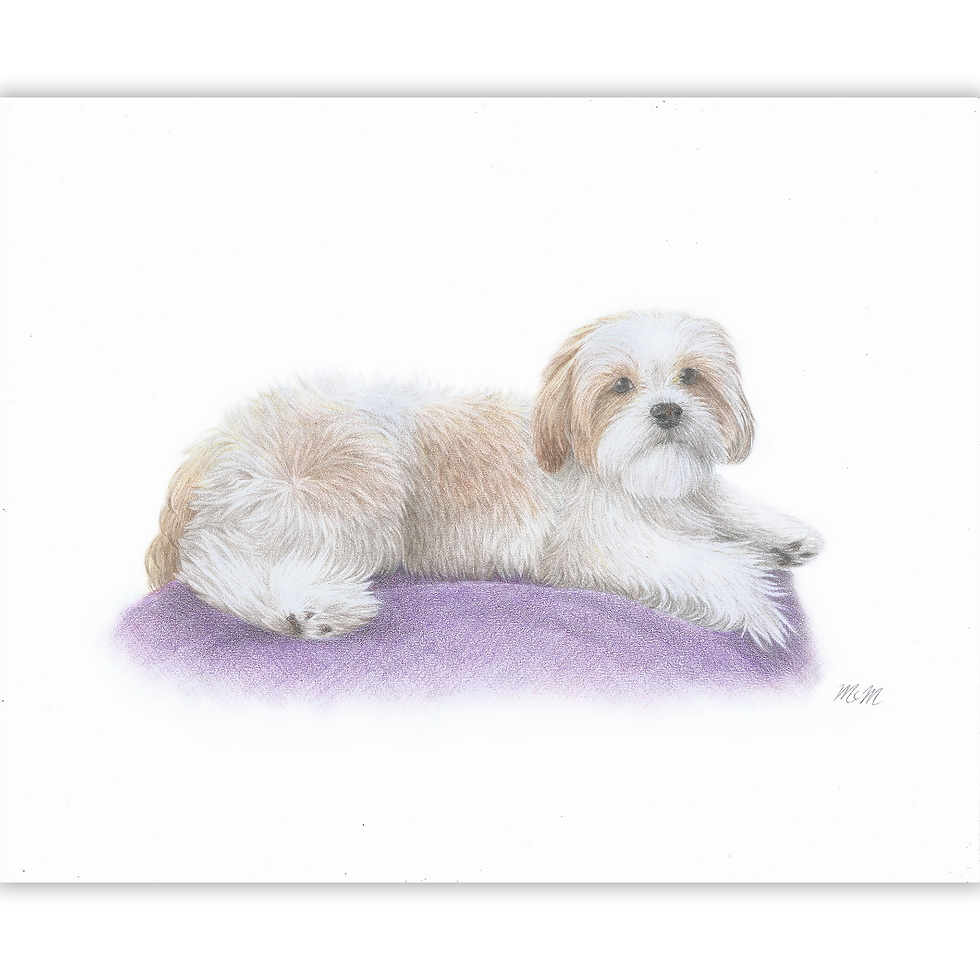 Pet Portrait - Dog