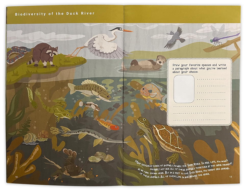 Discovering the Duck River