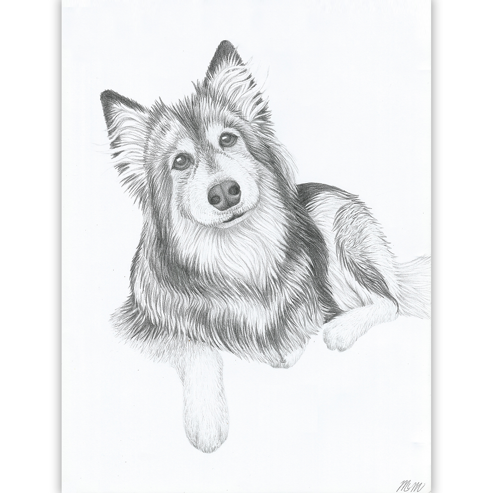 Pet Portrait - Dog