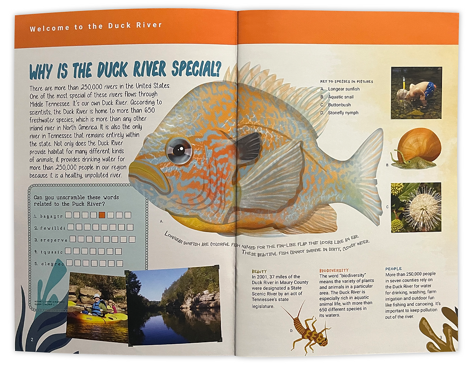 Discovering the Duck River