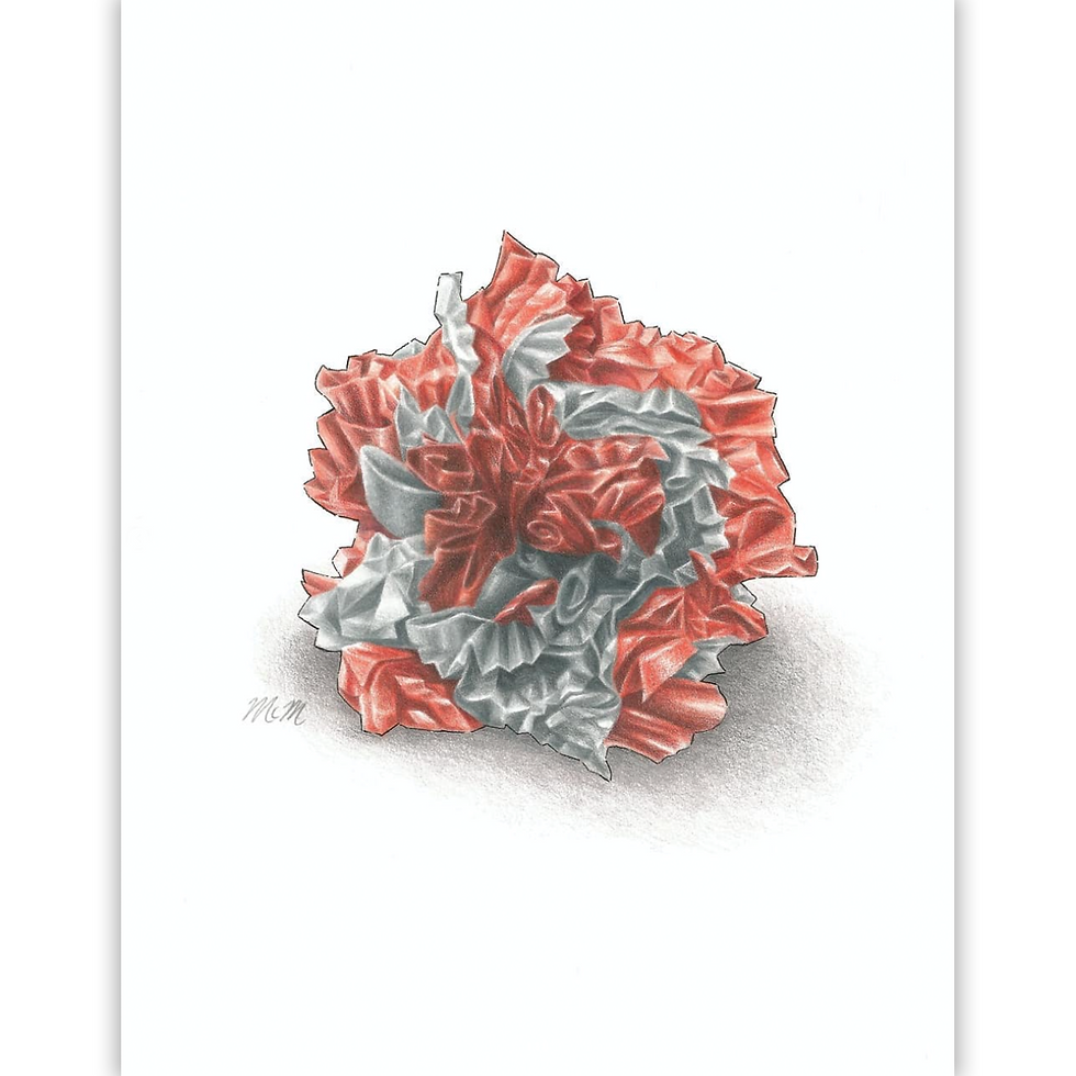 Colored Pencil Portrait - Cat Toy
